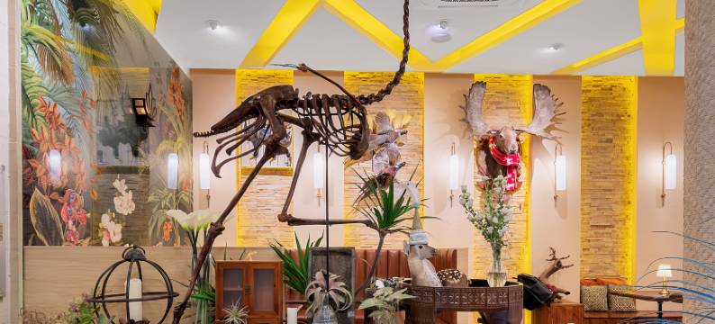 厦门神秘图鉴·SecretLand民宿(中山路步行街八市店)图片