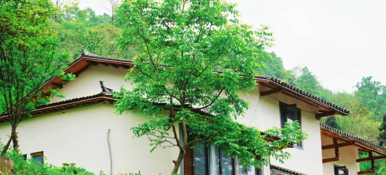 梅苑壹号民宿图片