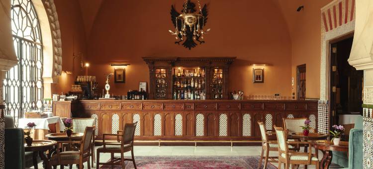 阿尔罕布拉宫酒店(Alhambra Palace Hotel)图片