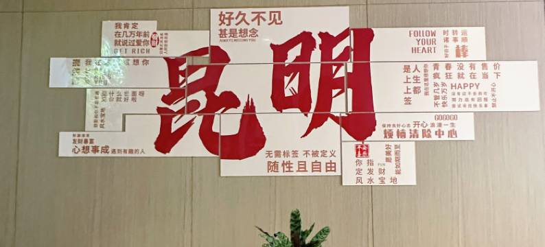 高原明珠大酒店(昆明火车站双桥店)图片