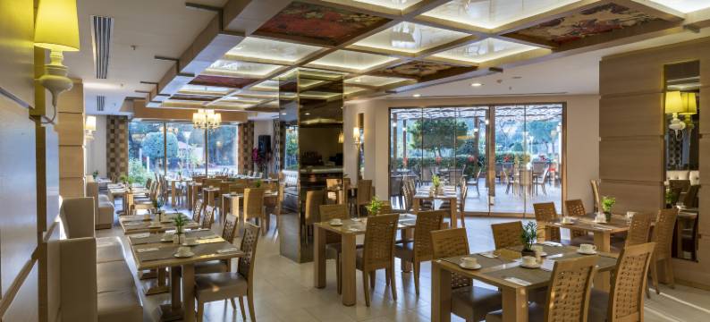 伊兹密尔卡亚温泉及会议中心酒店(Kaya Izmir Thermal & Convention)图片
