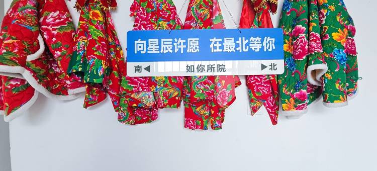 如你所院农家院图片
