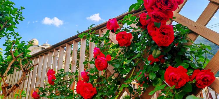 大理漾濞时光民宿图片