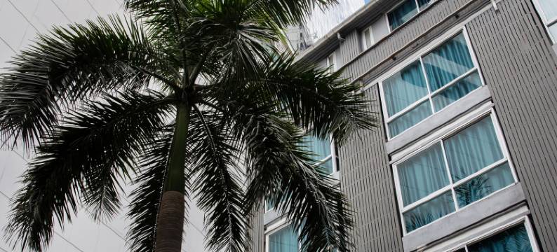 南茶素坤逸39号酒店(Nantra Sukhumvit 39)图片