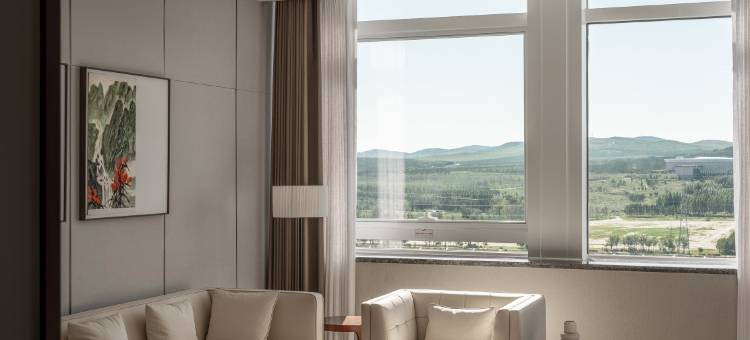 瑞丽嘉悦酒店(马都广场店)图片