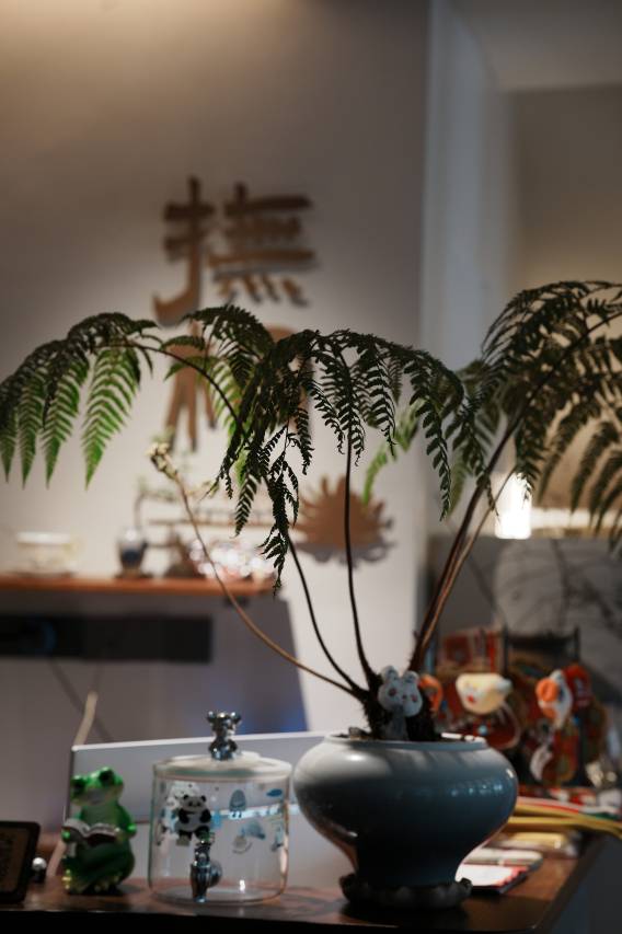 花筑·抚桐民宿(泉州古城西街店)图片