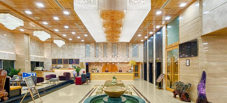 如明广场岘港酒店(Nhu Minh Plaza Danang Hotel)图片