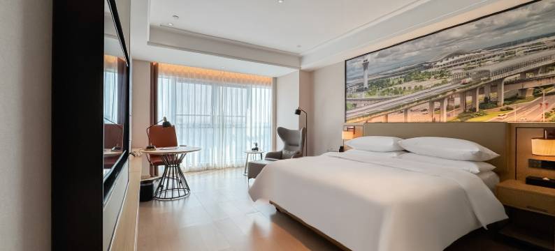 乾元酒店(长沙黄花国际机场店)图片