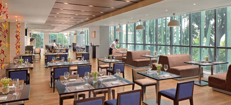 西贡中心诺富特(Novotel Saigon Centre)图片