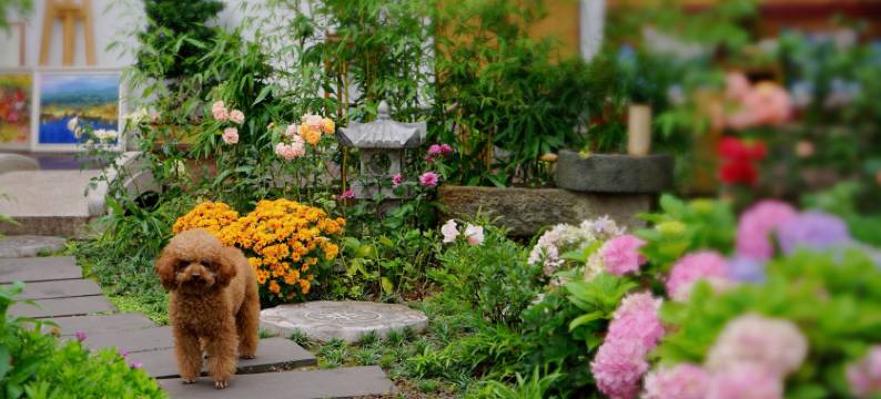 西昌邛海栖海追月民宿图片