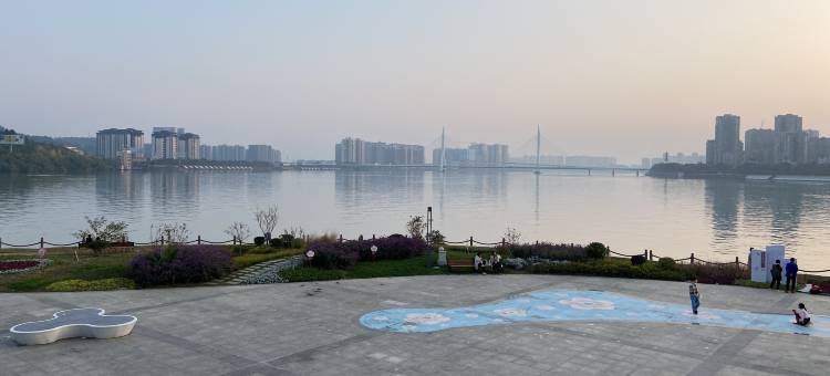 懒猫青年旅舍图片