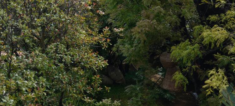 吾乡间·林舞鸟鸣庄园(田野店)图片