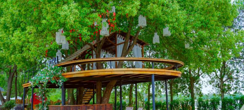 云隐小院民宿图片