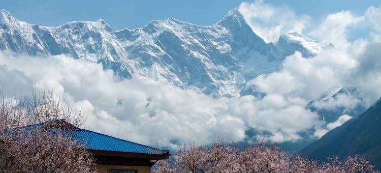 水墨·山野庐图片