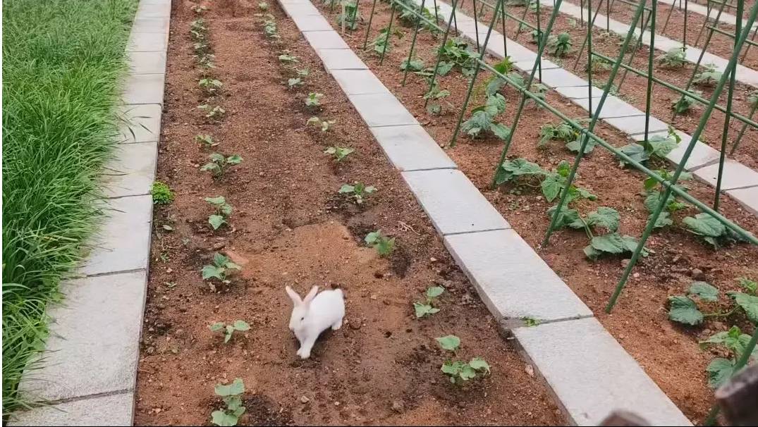 山海关58号民宿(秦皇岛山海关站店)图片