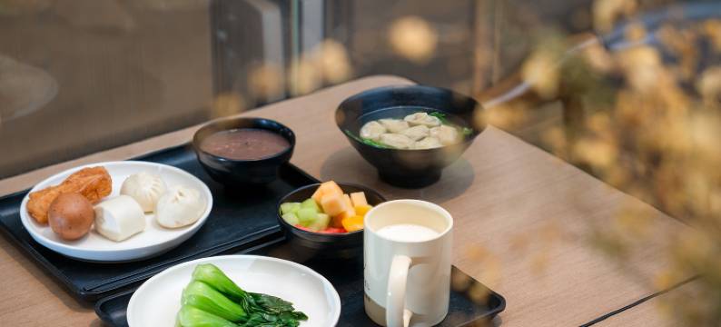 美宸酒店(北京大兴国际机场航站楼店)图片