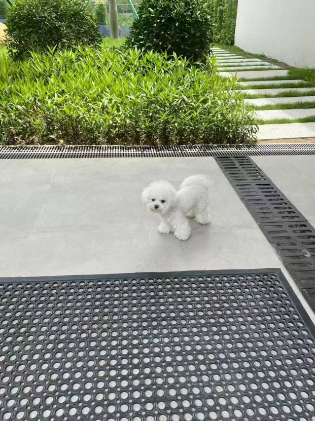 华发螺洞精品度假酒店图片