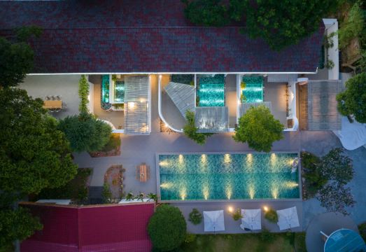 Leisurely Dwelling: Hidden Realm of TreesHotel Overview