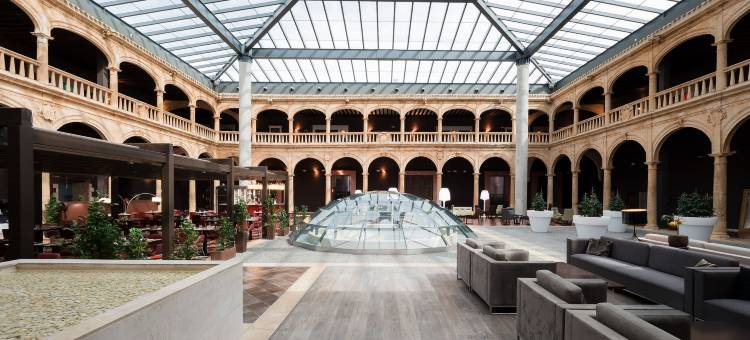 奥斯马布尔戈卡斯蒂利亚特尔马尔酒店(Castilla Termal Burgo de Osma)图片