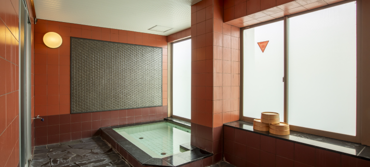 日笠克莱尔酒店(Hotel Claire Higasa)图片