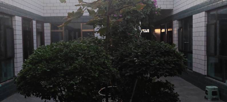 阿拉善右旗大漠人家兴旺民宿图片