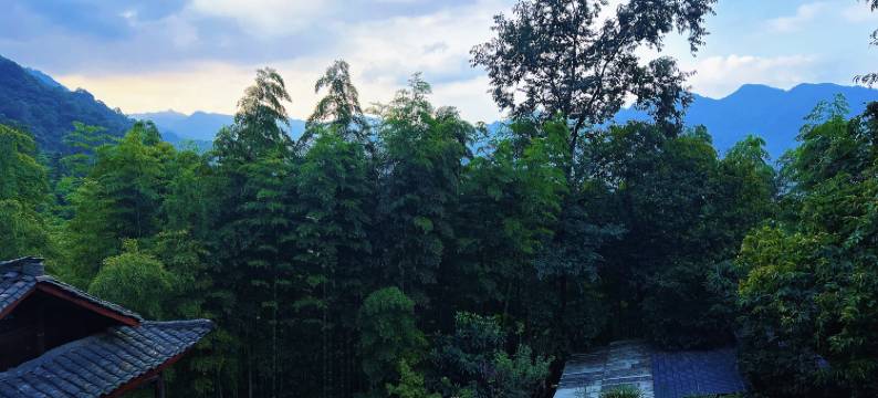 峨眉山悦庄清音汤泉民宿图片