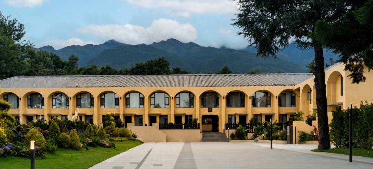 大理古城花间府·松语图片