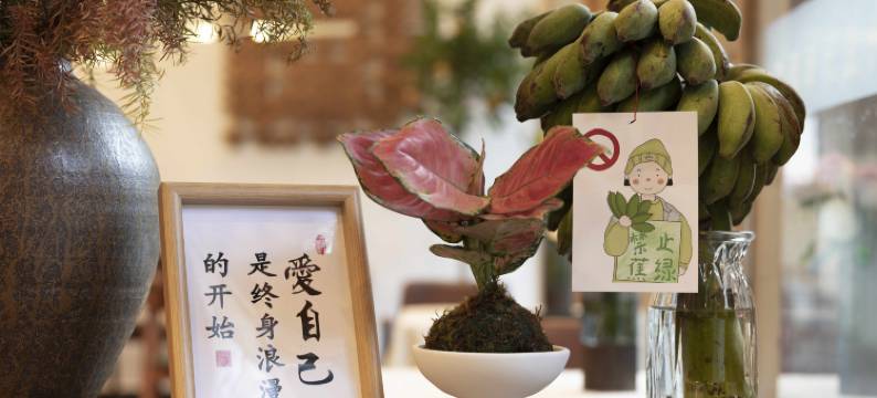 追光而遇|沐光而行·光隐villa主题露营轰趴民宿(丽江古城店)图片