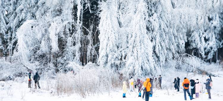 长白山万达智选假日酒店图片