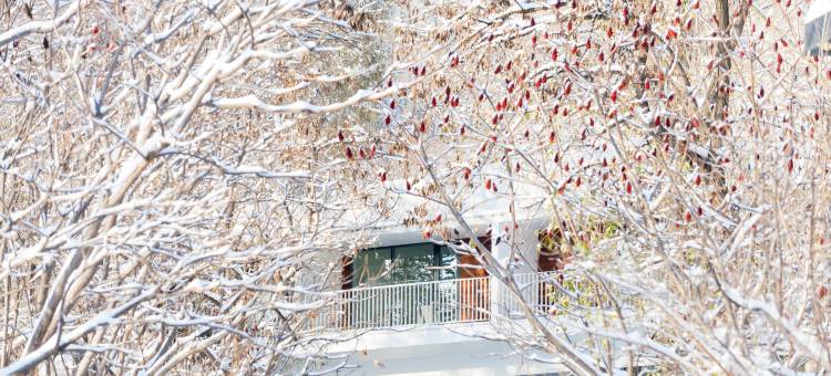 长城脚下的公社图片