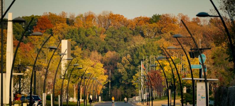 千岛湖绿发郝力克酒店图片