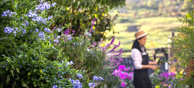 依山半舍·观山|SERENE·PANORAMA 温泉美宿(腾冲和顺古镇店)图片