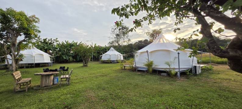 OneSeasonFarm Chiangsaen图片