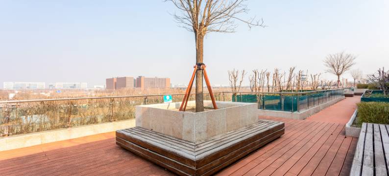 小鸟轻住(北京大兴国际机场店)图片