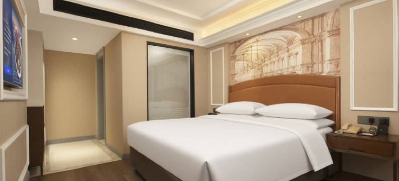 维也纳酒店(耒阳店)图片