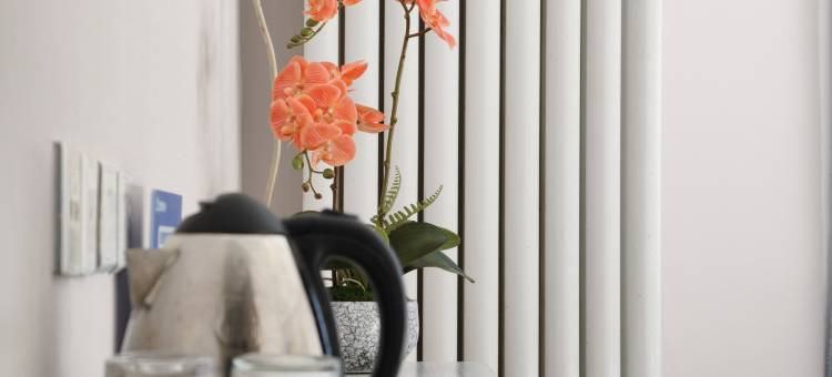 北京舒雅酒店(北京师范大学店)图片