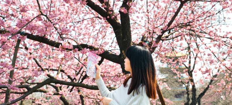 武汉富力威斯汀酒店图片