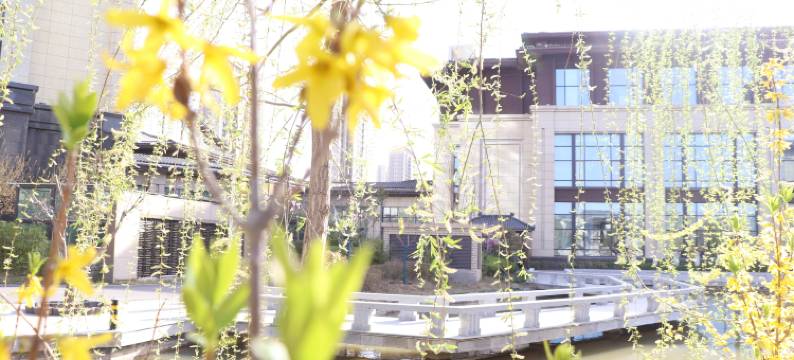 濮阳阿尔卡迪亚酒店(西湖公园店)图片