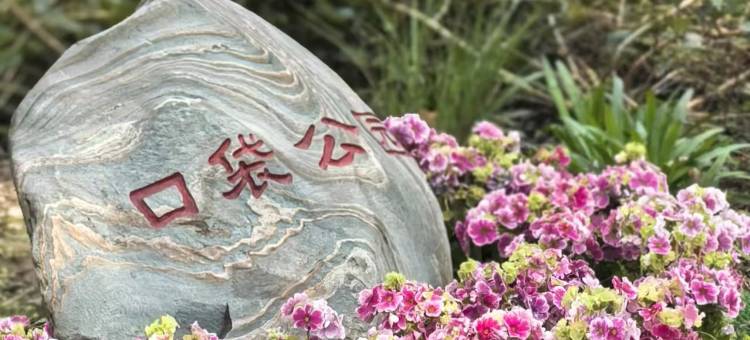 成飞宾馆(成都西站成飞店)图片