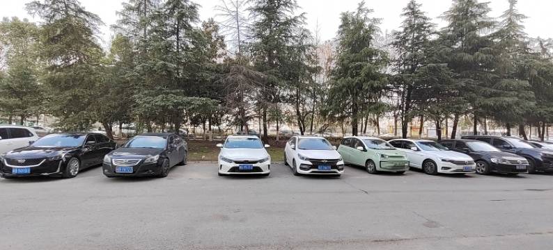 青树酒店公寓(大学城芜湖服务外包产业园店)图片