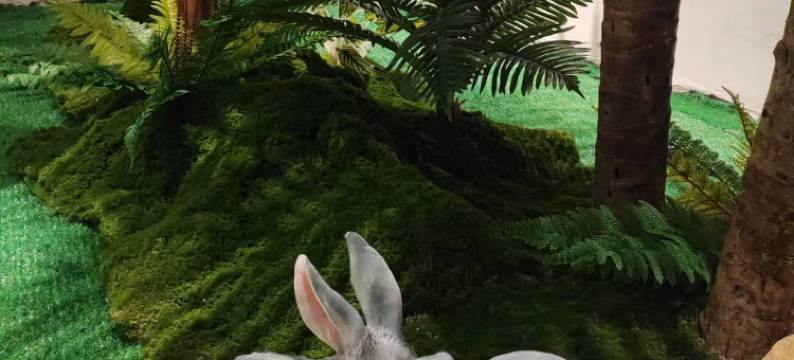 旺苍艾嘉商务酒店图片