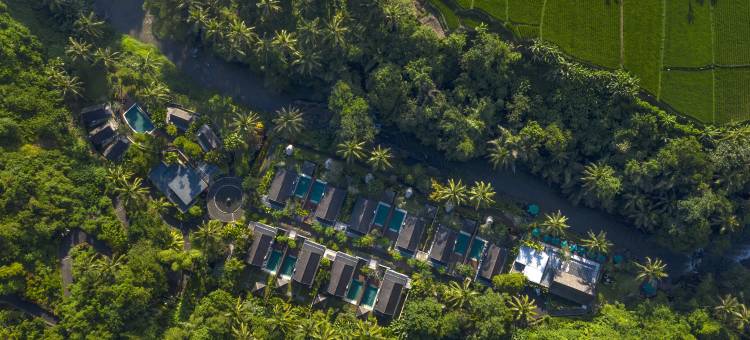 萨玛亚乌布别墅(The Samaya Ubud)图片