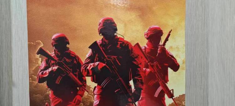 吴起雅宁大酒店图片