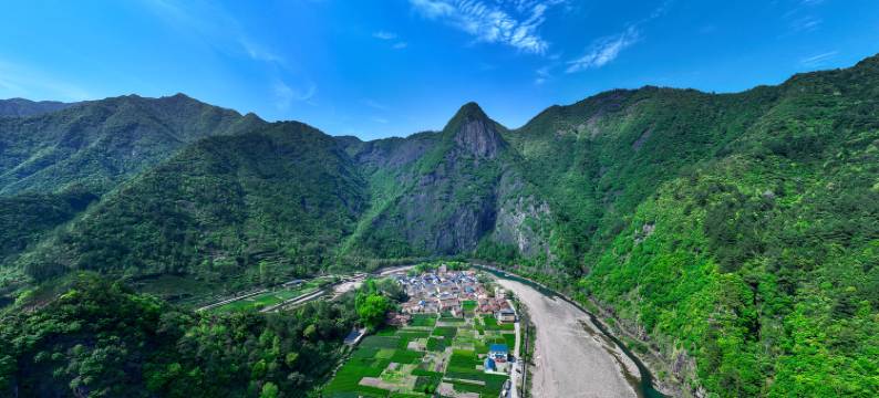 遂昌山里悠悠民宿图片