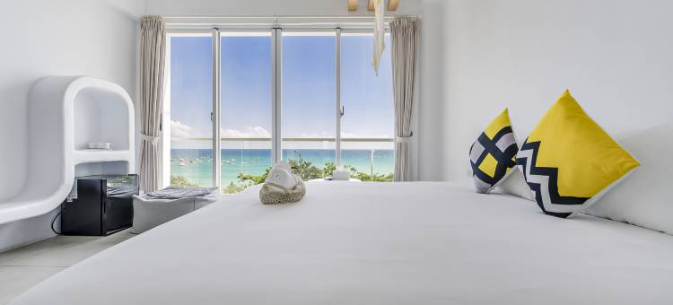 希腊遇见猫图片