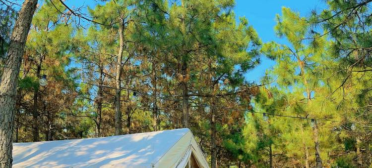 半汤·泉栖谷营地乐园图片