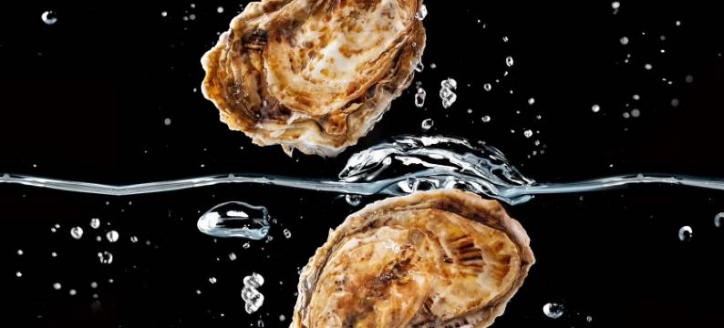 汤连得’多喜温泉酒店图片