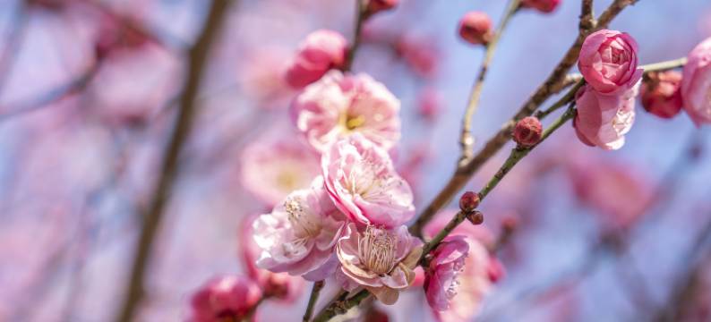 杭州桐庐康莱德酒店图片