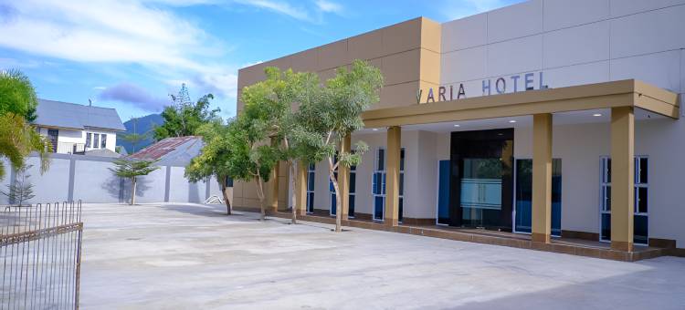 Varia Hotel图片