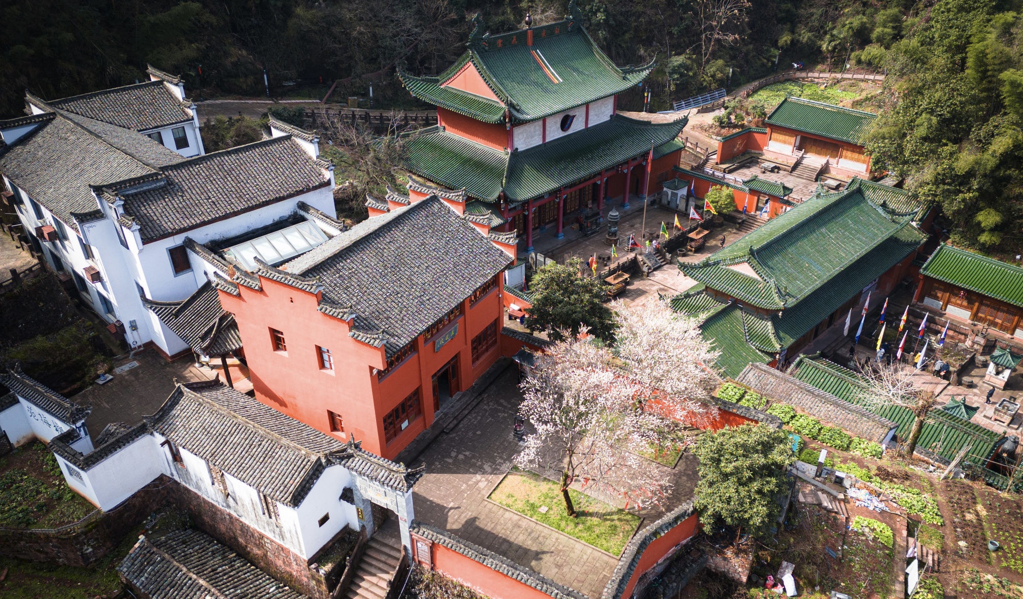 Ziyoujia · Tree house World Over view